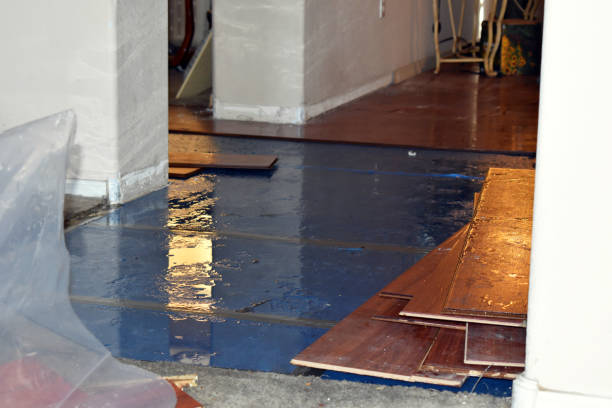 Professional Burst Pipe Cleanup technician working in Naselle, WA